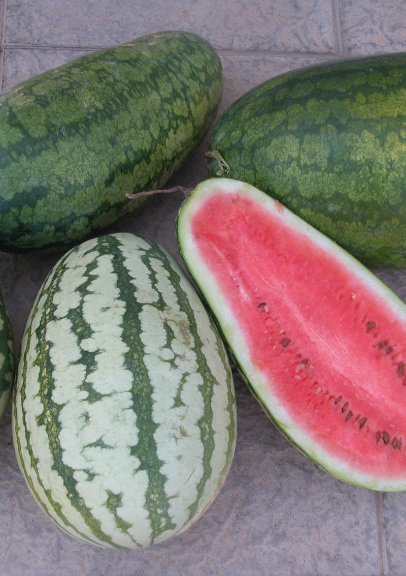 Sandia_roja_vertical