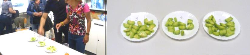 Cata de alficoz Cata de alficoz