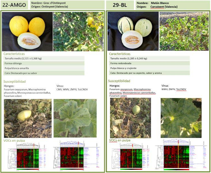 Catálogo informativo Catálogo informativo