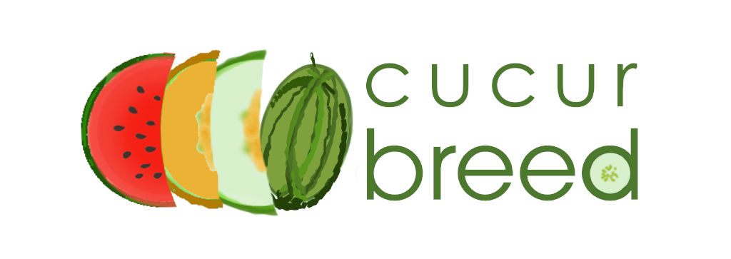 CucurBreed